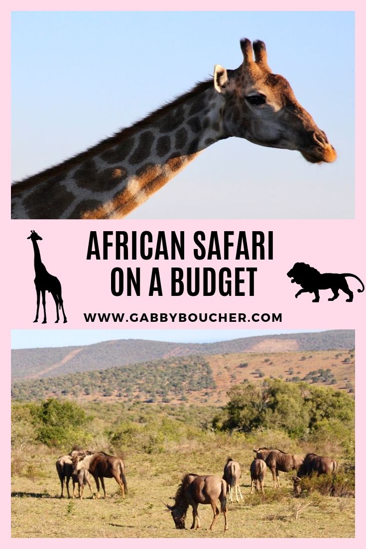 How To Do An African Safari On A Budget