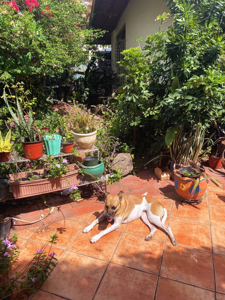 Is Kingston, Jamaica Safe? 16 Things To Know Before Visiting